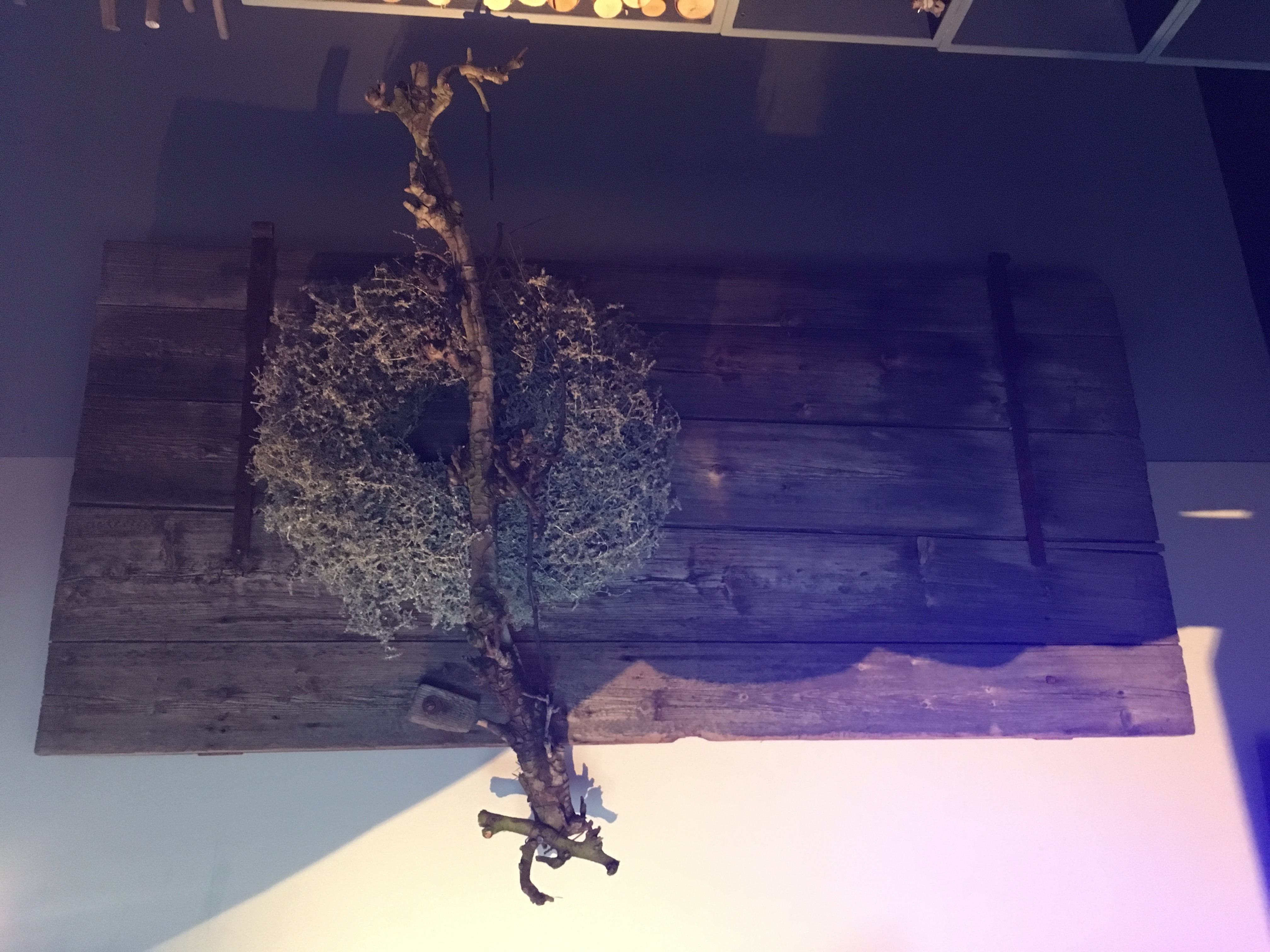 Kreatives und stilvolles - WOHNRAUMDEKO